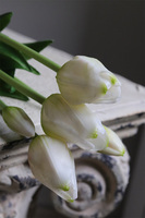 April New, bukiet tulipanów silikonowych Biały