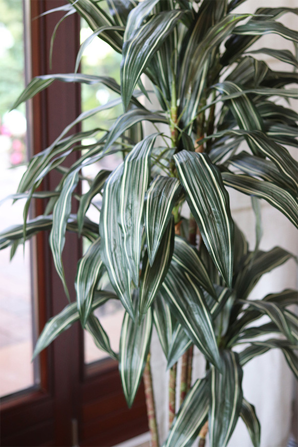 Dracena, wysokiej jakości sztuczna roślina