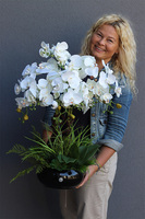 Black Piano, storczyk w czarnej donicy z paprocią