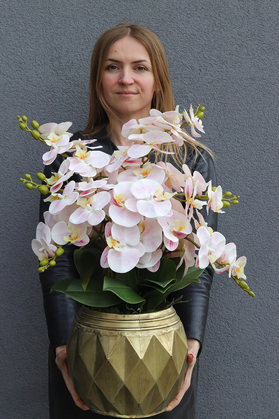 Goldi Pink, jasno pudrowy w złotej donicy, wys.65cm
