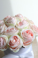 Cinema Rosa, różany flowerbox