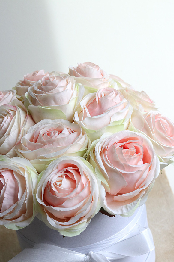 Cinema Rosa, różany flowerbox