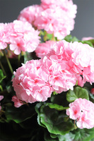 Pink Basket, sztuczne pelargonie w koszu