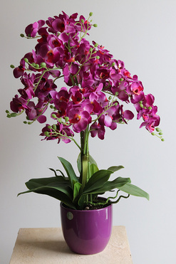 OD RĘKI Fuksjowa Bajka, sztuczny storczyk w naczyniu, wys.57cm