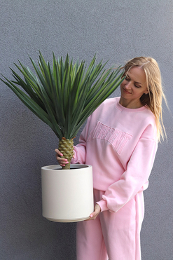 Jukka Figaro M, sztuczna roślina drzewko, wys.85cm