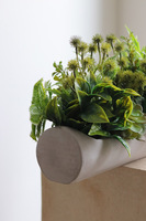 Hektor Modenato 2, kompozycja sukulenty w długiej donicy