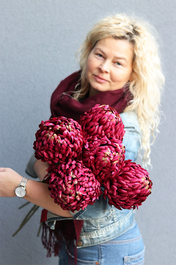 Benjamin, bukiet bordowych chryzantem