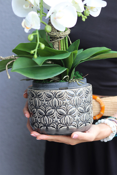 Melona, sztuczny storczyk w szarej osłonce