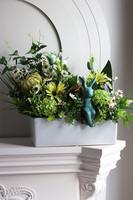 Green World Protea Bunny, kompozycja kwiatowa