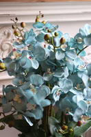  Jak w Niebie, storczyk w białej donicy, wys.54cm