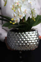 Silver Route, sztuczny storczyk w lustrzanej misie