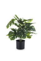 Monstera A, sztuczne drzewko w osłonce / donicy, wym.50x55x55cm