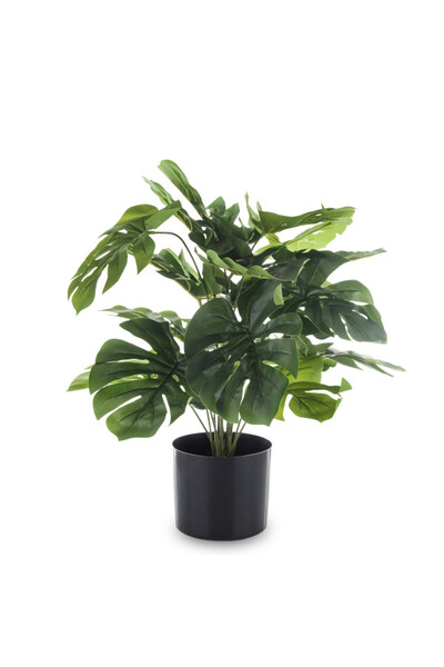 Monstera A, sztuczne drzewko w osłonce / donicy, wym.50x55x55cm