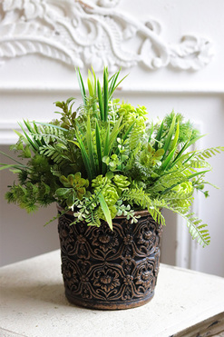 Ferade, sukulenty w nowoczesnej donicy, wys.31cm 