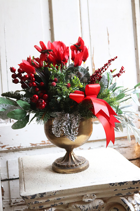 Cyklamen Zimowy Czerwień, świąteczna dekoracja w pucharze