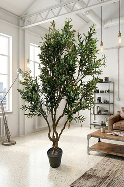 Oliwka Premium 2, sztuczna roślina drzewko oliwne, wys.230cm 