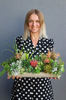 kompozycja sukulenty w długiej donicy, Hektor E