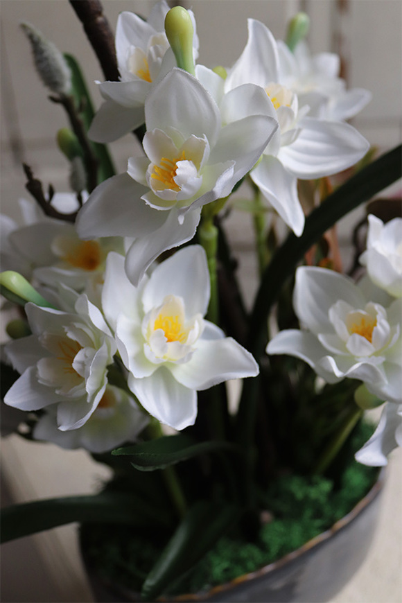 Narcyzy, kompozycja z wiosennych kwiatów, wys.40cm