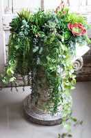 Anya Greena, piękna kompozycja Sukulenty w prostokątnej donicy, wym.30x46cm