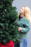 Velvet Bow, świąteczna choinka w donicy