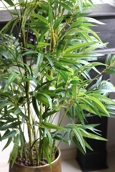  Bambus Hilton Green, sztuczna roślina w złotej donicy