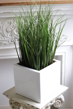 Fiberglass White, sztuczne trawy w eleganckiej donicy, wys.72cm