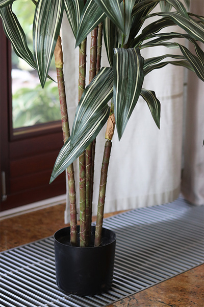 Dracena, wysokiej jakości sztuczna roślina