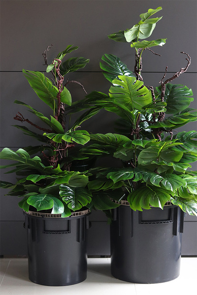 Monstera Saute, sztuczna roślina do twojej donicy