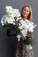 Black Versal, sztuczny storczyk w czarnej donicy