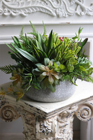 Stone Style, sukulenty w donicy z lastryko