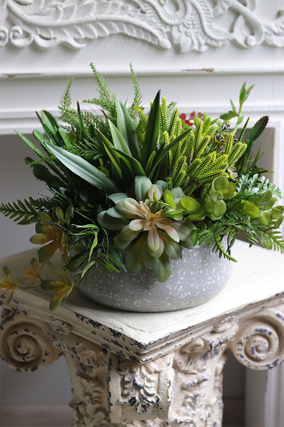 Stone Style, sukulenty w donicy z lastryko