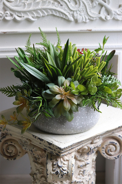 Stone Style, sukulenty w donicy z lastryko