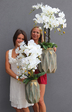 storczyki Matea Gold w metalowych naczyniach wys.82/98cm