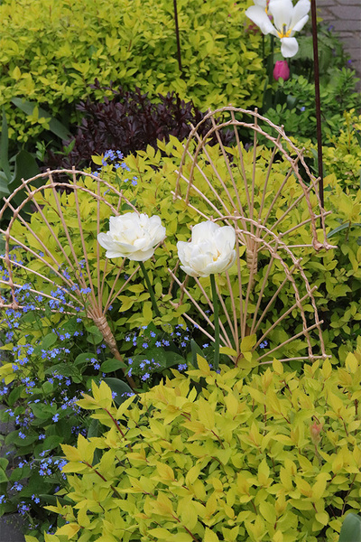 Sunday D, słomiana dekoracja