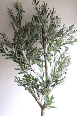 Oliwka Bahama, sztuczne drzewko w koszu, wym.210cm