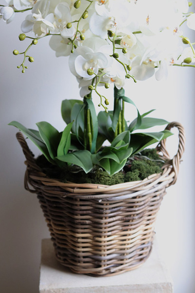 Rattania Cottage, sztuczny storczyk w wiklinowym koszu