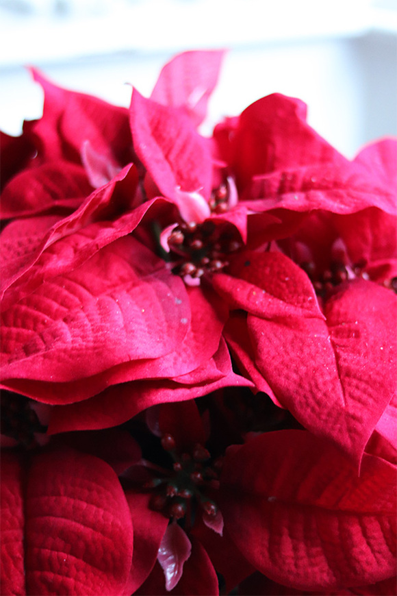 Gwiazda Betlejemska Silverina, wysokiej jakości sztuczna roślina