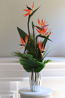 Strelicja Silver Yfrena, kompozycja w wazonie