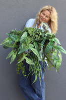 Morena Green Saute, zielona dekoracja do twojej donicy