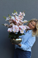 Morella, wysokiej jakości różowy sztuczny storczyk