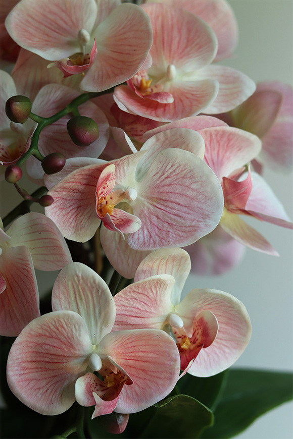 Pink Leolia, sztuczny gumowy storczyk z sukulentami