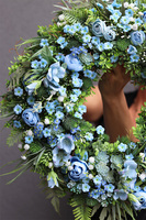 wianek na Twoje drzwi, Manfredo Bluesfera