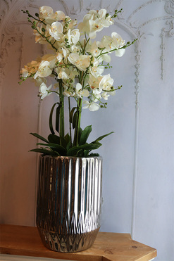 Silverro 3, podłogowy storczyk w lustrzanej donicy, wys.104cm 