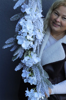 Hortensja Biel, śnieżona girlanda zimowa