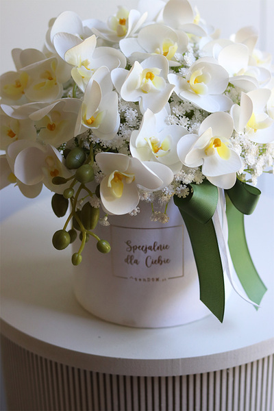 Orchidea, biały flowerbox ze storczykiem