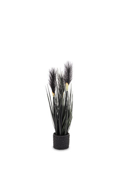 sztuczna trawa Pióropusze, czarny, wys.40cm 