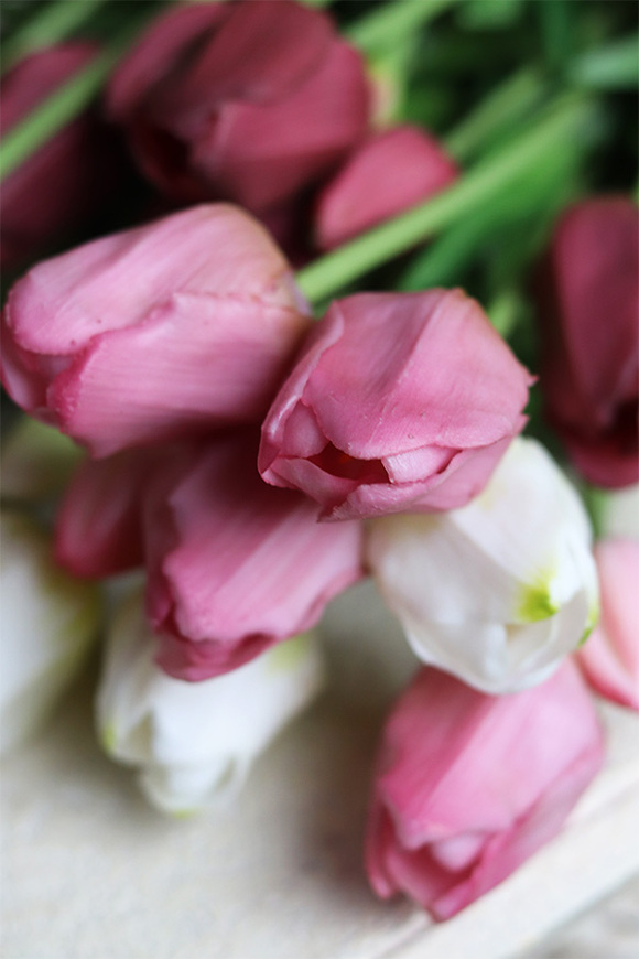 bukiet tulipanów gumowych Jasny Bordo