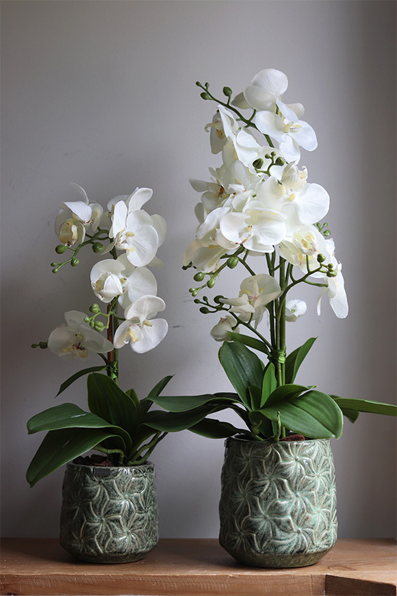 Nedila 3, sztuczny storczyk w zielonej osłonce