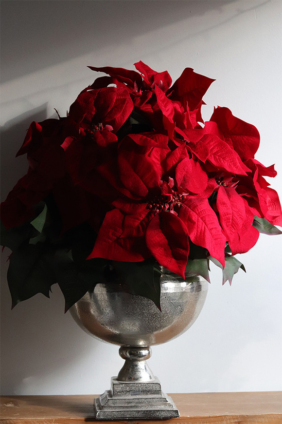 Gwiazda Betlejemska Deluxe Silver, sztuczna roślina w donicy