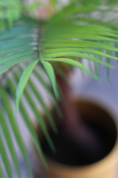 Exotica B, sztuczna palma w złotej donicy, wys.129cm 